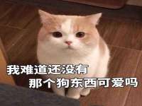 合肥瑶海区脂画女装网店