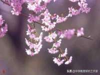 合肥瑶海区脂画女装网店