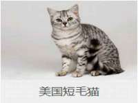 合肥瑶海区脂画女装网店