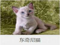 合肥瑶海区脂画女装网店