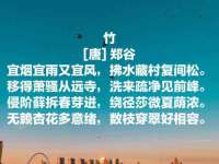 合肥瑶海区脂画女装网店