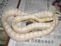 合肥瑶海区脂画女装网店